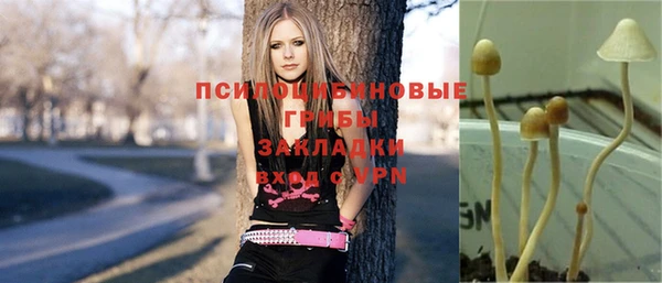 дурь Алексин