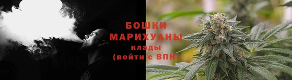 прущие грибы Аркадак