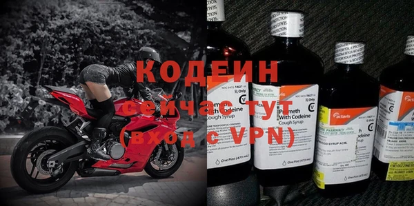 дурь Алексин