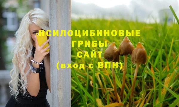 дурь Алексин