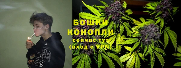 твердый Осташков